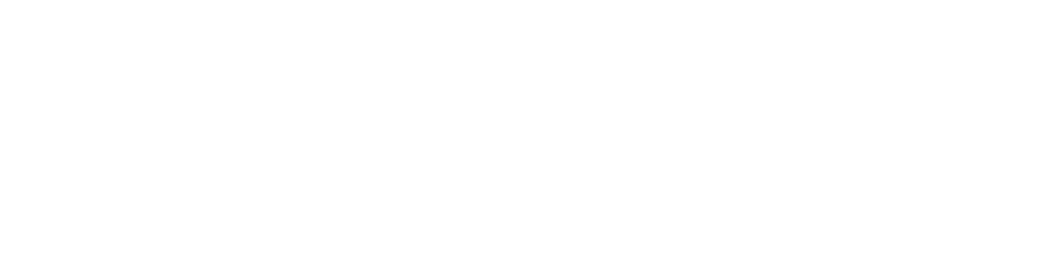 Bridgecode M&A advisory achievements and professional team